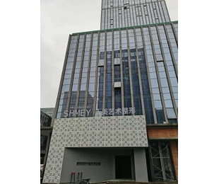 耒陽長沙凈化工程案例
